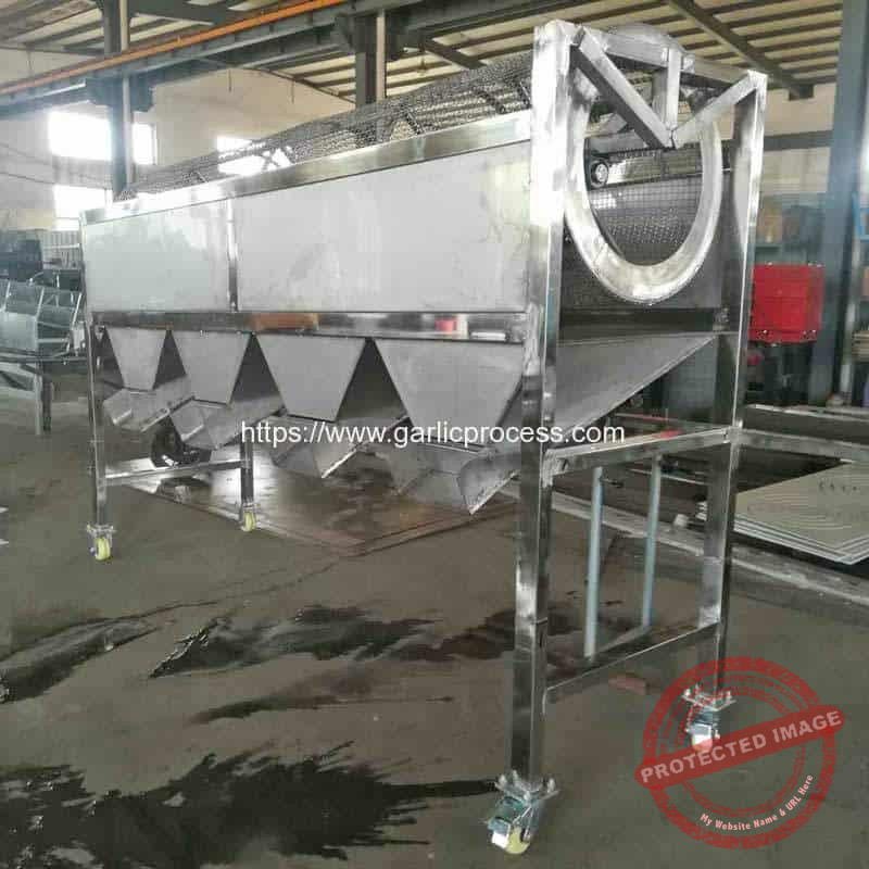 Rotary-Garlic-Seeds-Size-Sorting-Machine-for-Thailand-Customer